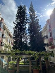 Laguna Green (D16), Condominium #459464791